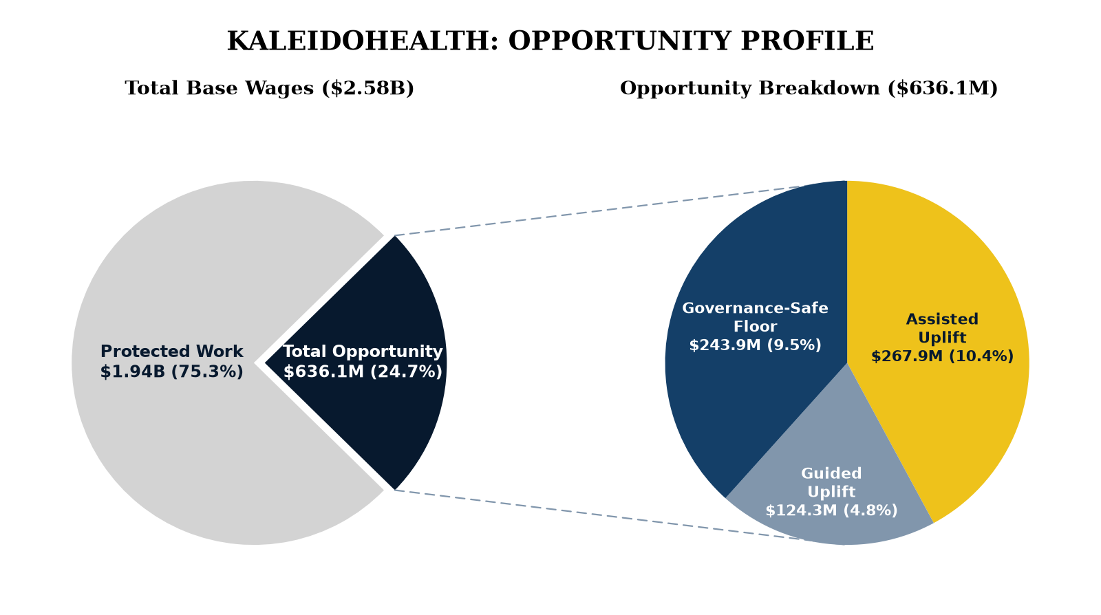KaleidoHealth: AI opportunity profile